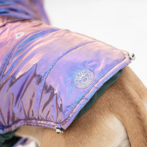 Recycled Parka Dog Coat | Iridescent GF PET Apparel GF Pet Official Online Store