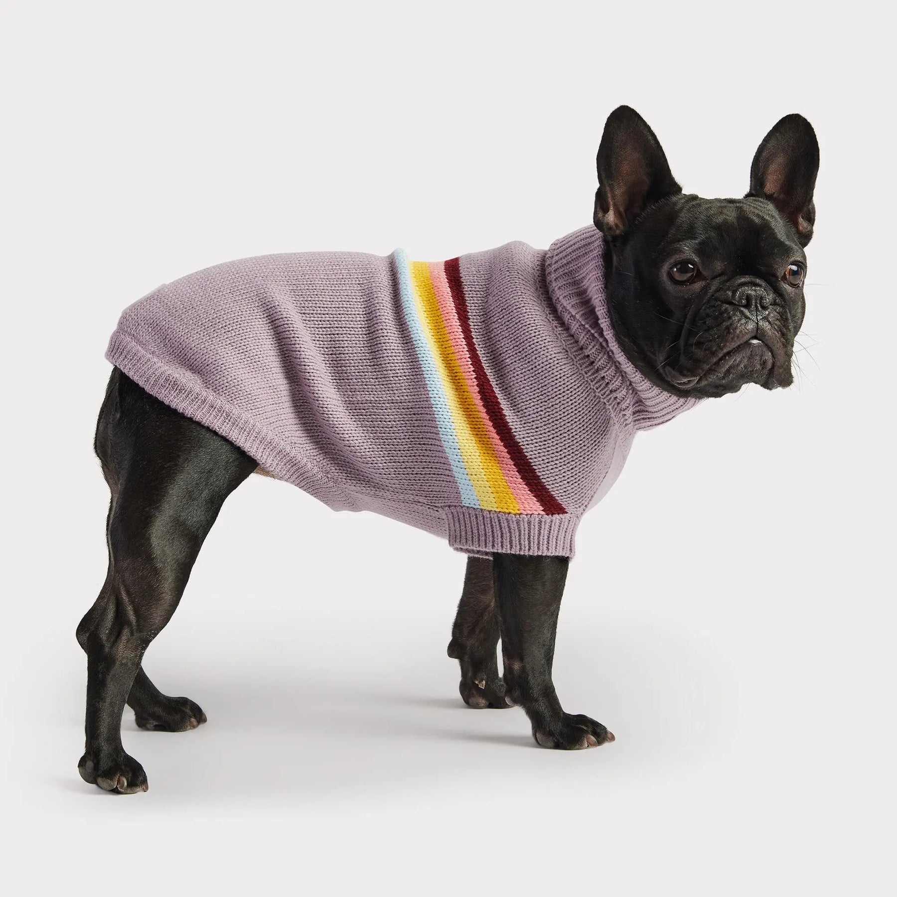 Retro Dog Sweater | Lavender GF PET Apparel GF Pet Official Online Store