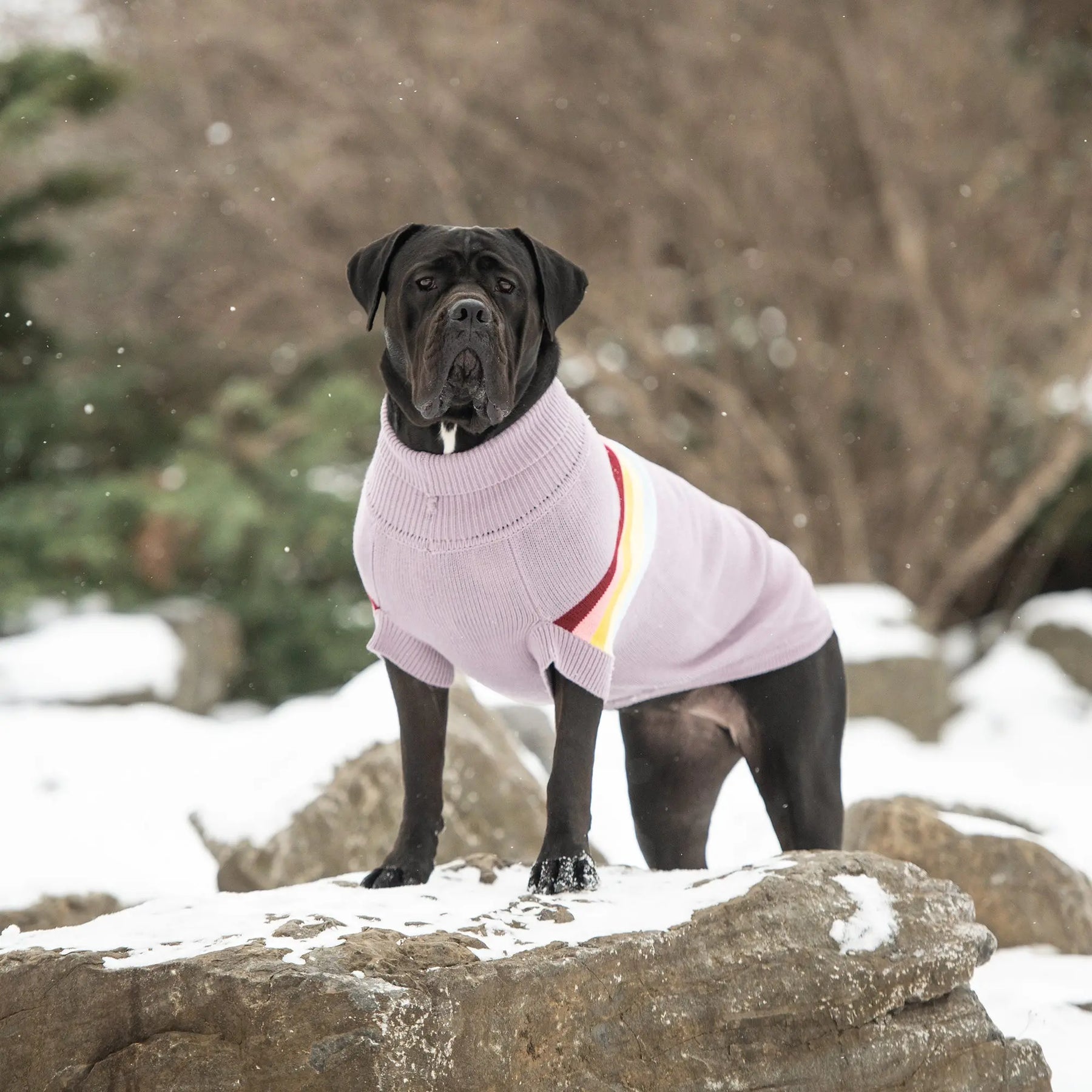 Retro Dog Sweater | Lavender GF PET Apparel GF Pet Official Online Store