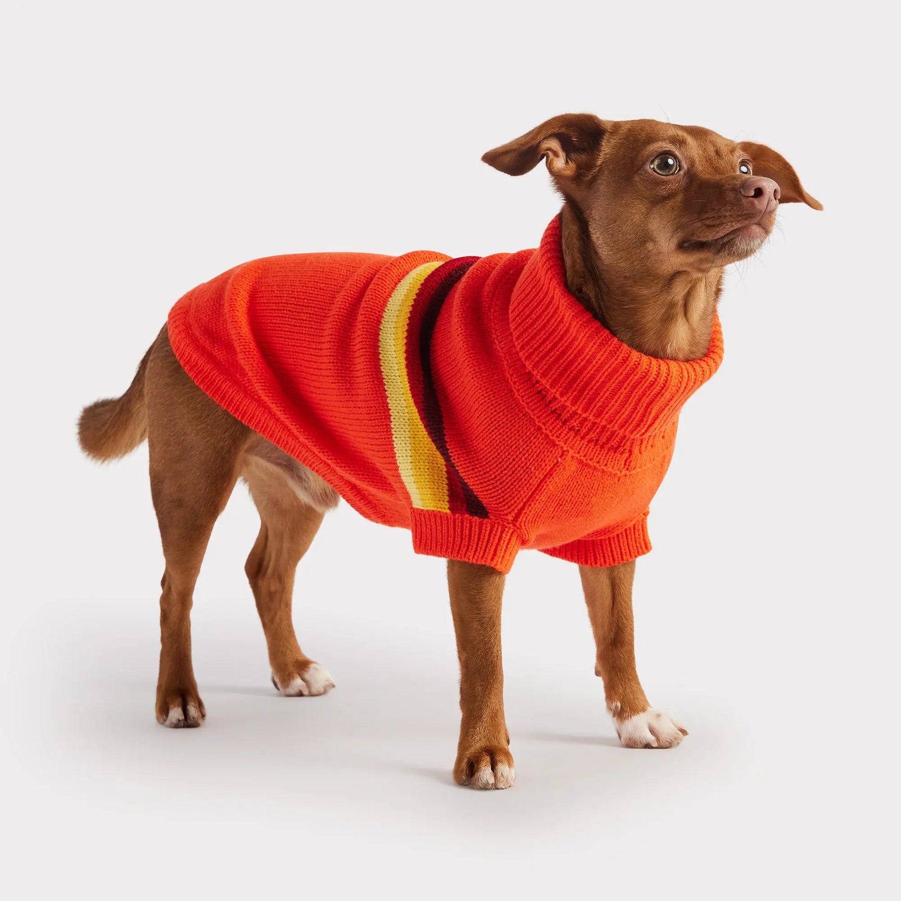 Retro Dog Sweater | Orange GF PET Apparel GF Pet Official Online Store