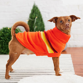 Retro Dog Sweater | Orange GF PET Apparel GF Pet Official Online Store