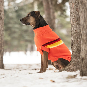 Retro Dog Sweater | Orange GF PET Apparel GF Pet Official Online Store