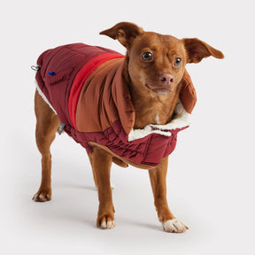 Retro Puffer | Dark Red GF PET Apparel GF Pet Official Online Store