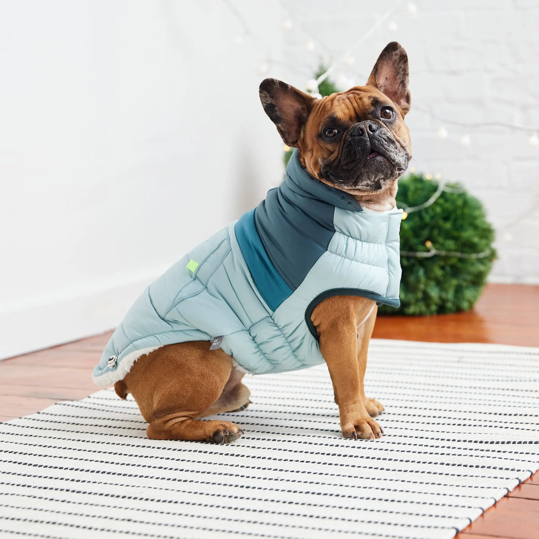 Retro Puffer | Light Blue GF PET Apparel GF Pet Official Online Store