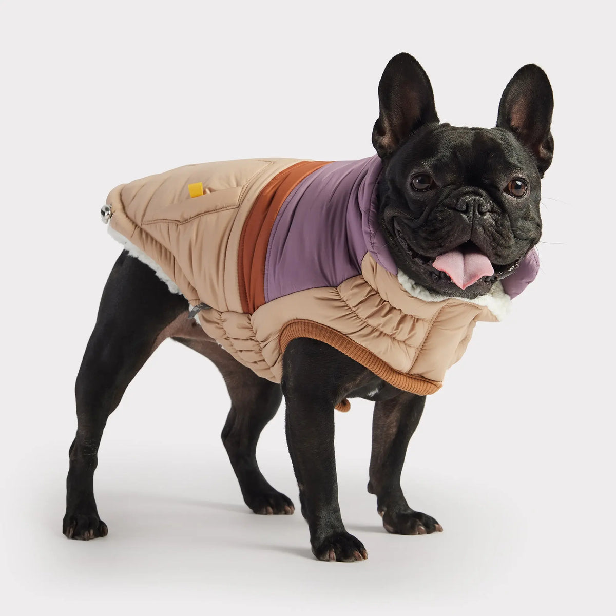 GF PET X-Small Lavender Retro Sweater for Dogs GS471F2-LV-XS - The