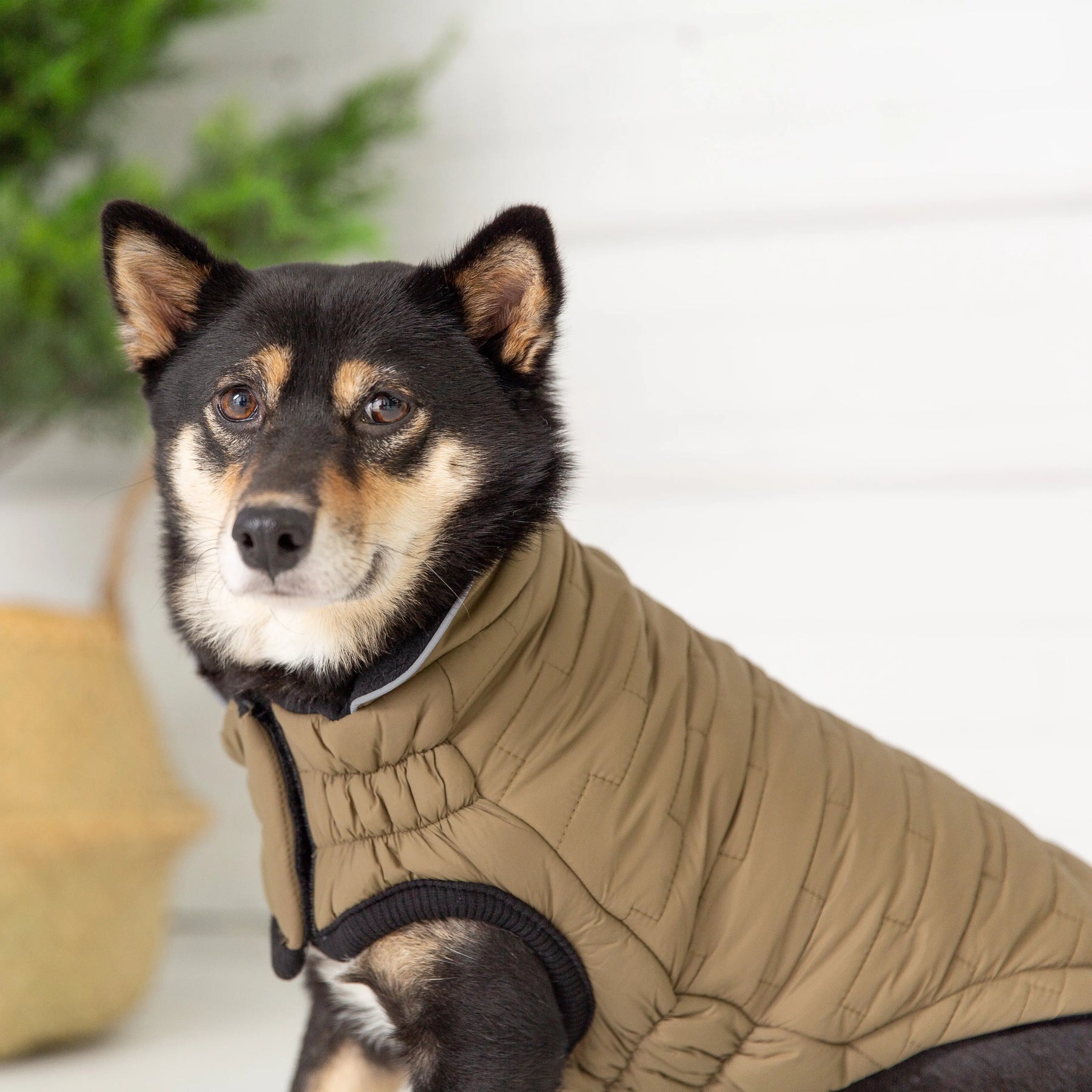 Reversible Chalet Jacket - Khaki GF PET