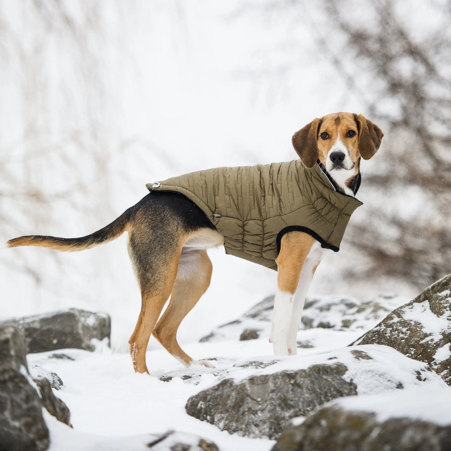 Reversible Chalet Jacket - Khaki GF PET