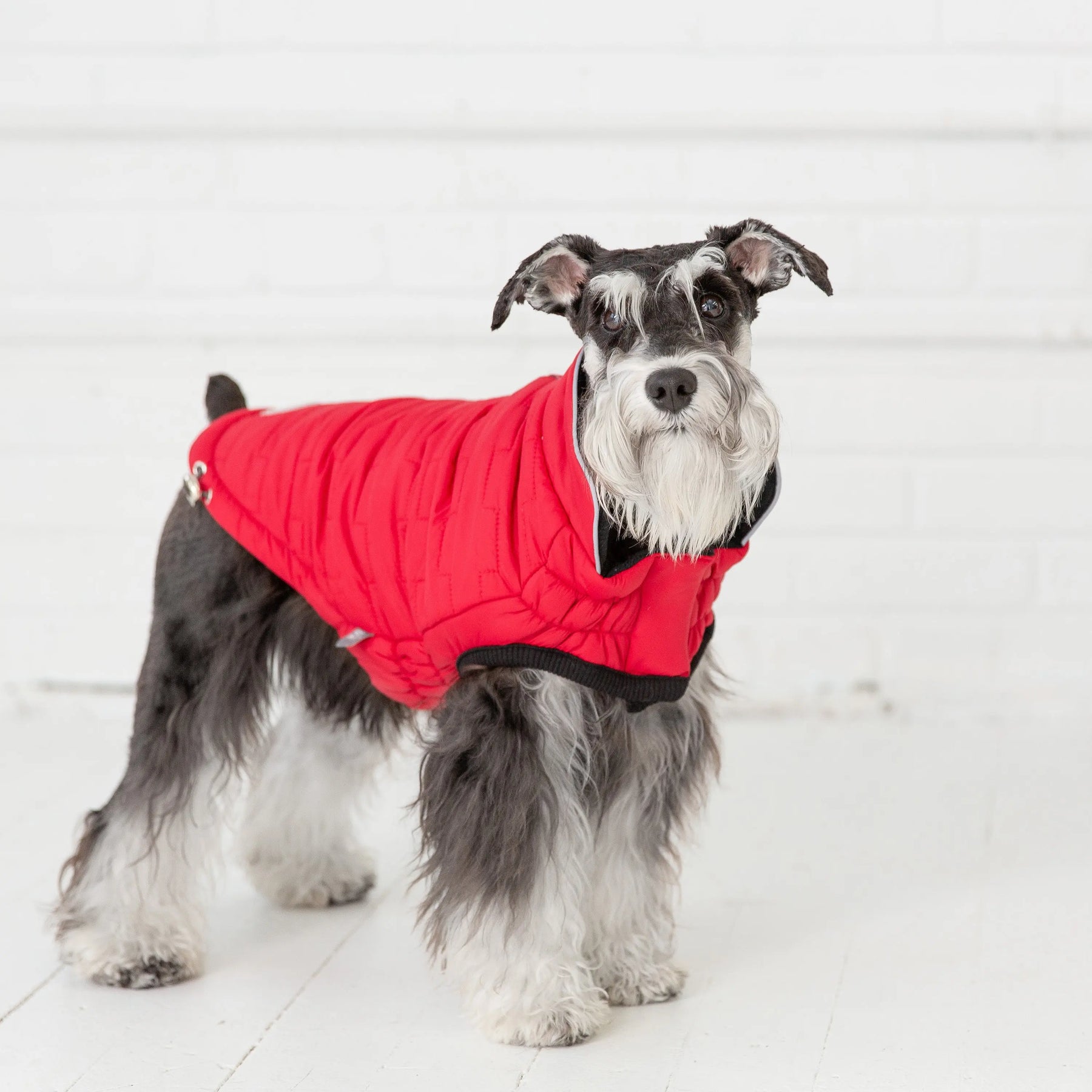 Reversible Chalet Jacket - Red GF PET