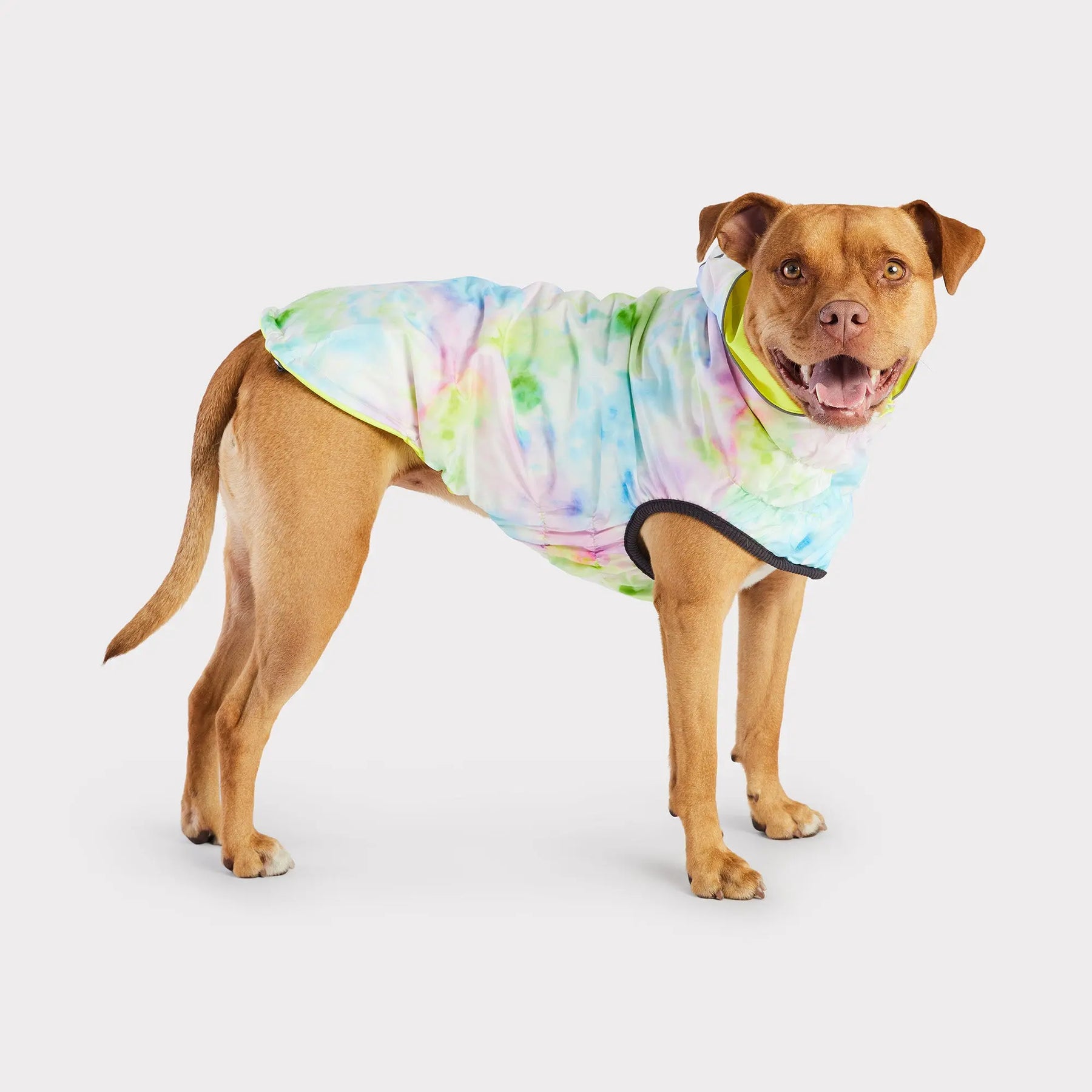 Reversible Dog Raincoat | Neon Yellow and Tie-Dye GF PET Apparel GF Pet Official Online Store