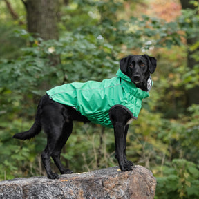 Reversible Raincoat - Green GF PET