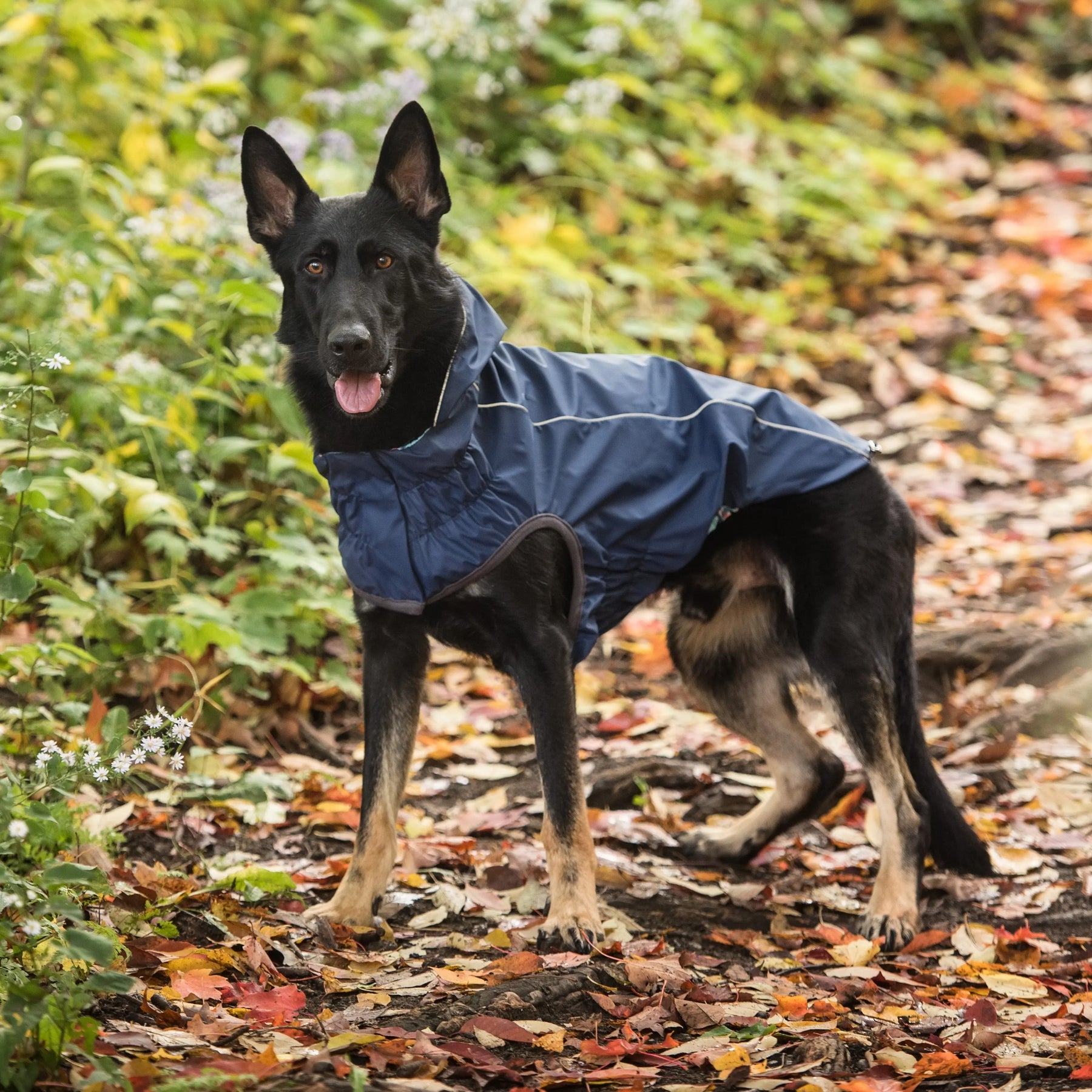 Reversible Raincoat - Navy GF PET