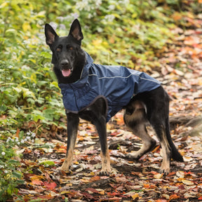Reversible Raincoat - Navy GF PET