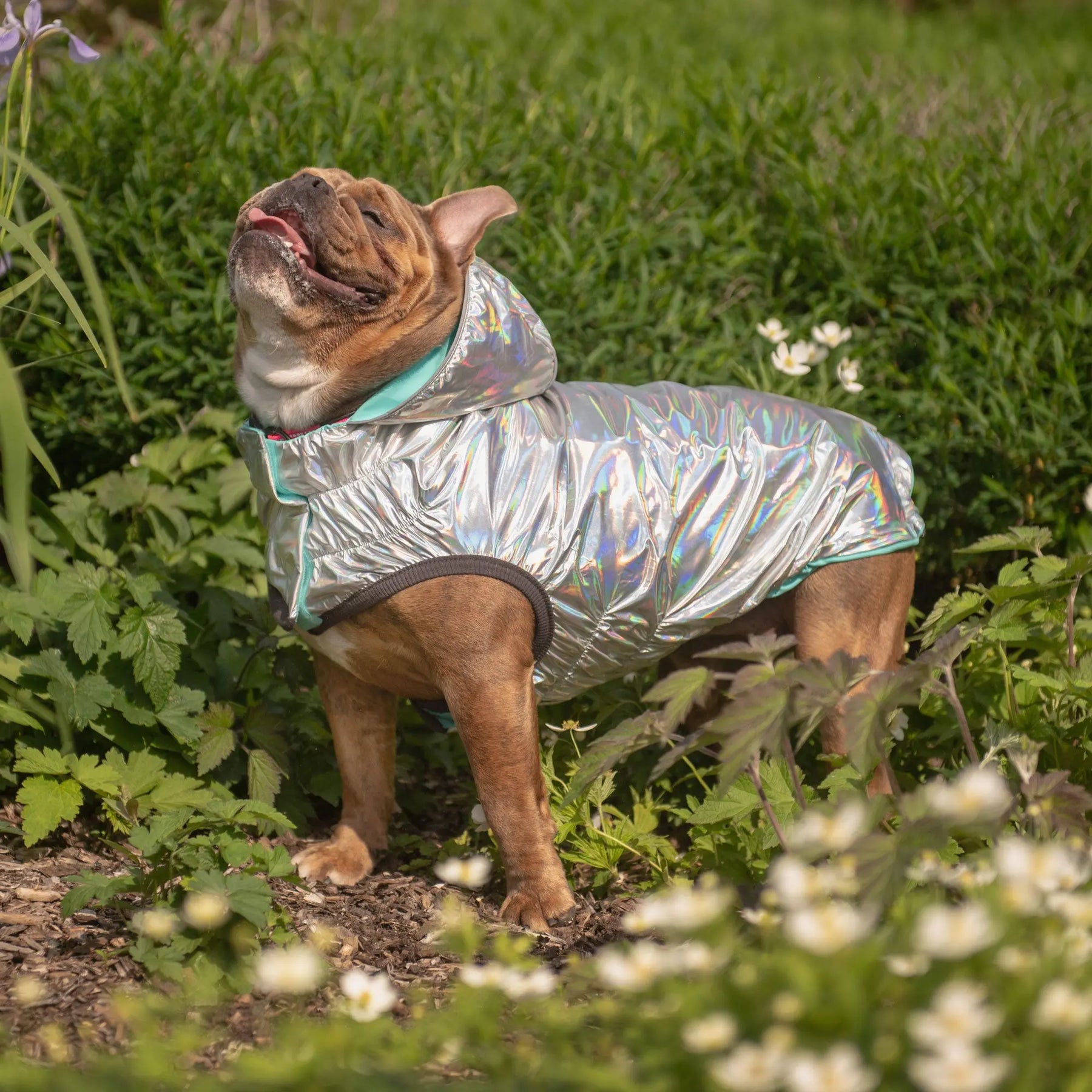Dog Raincoat with Hood — Neon Aqua and Tie-Dye