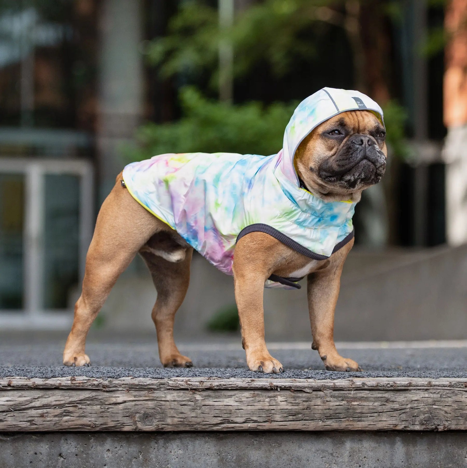 Reversible Raincoat - Neon Yellow and Tie-Dye GF PET