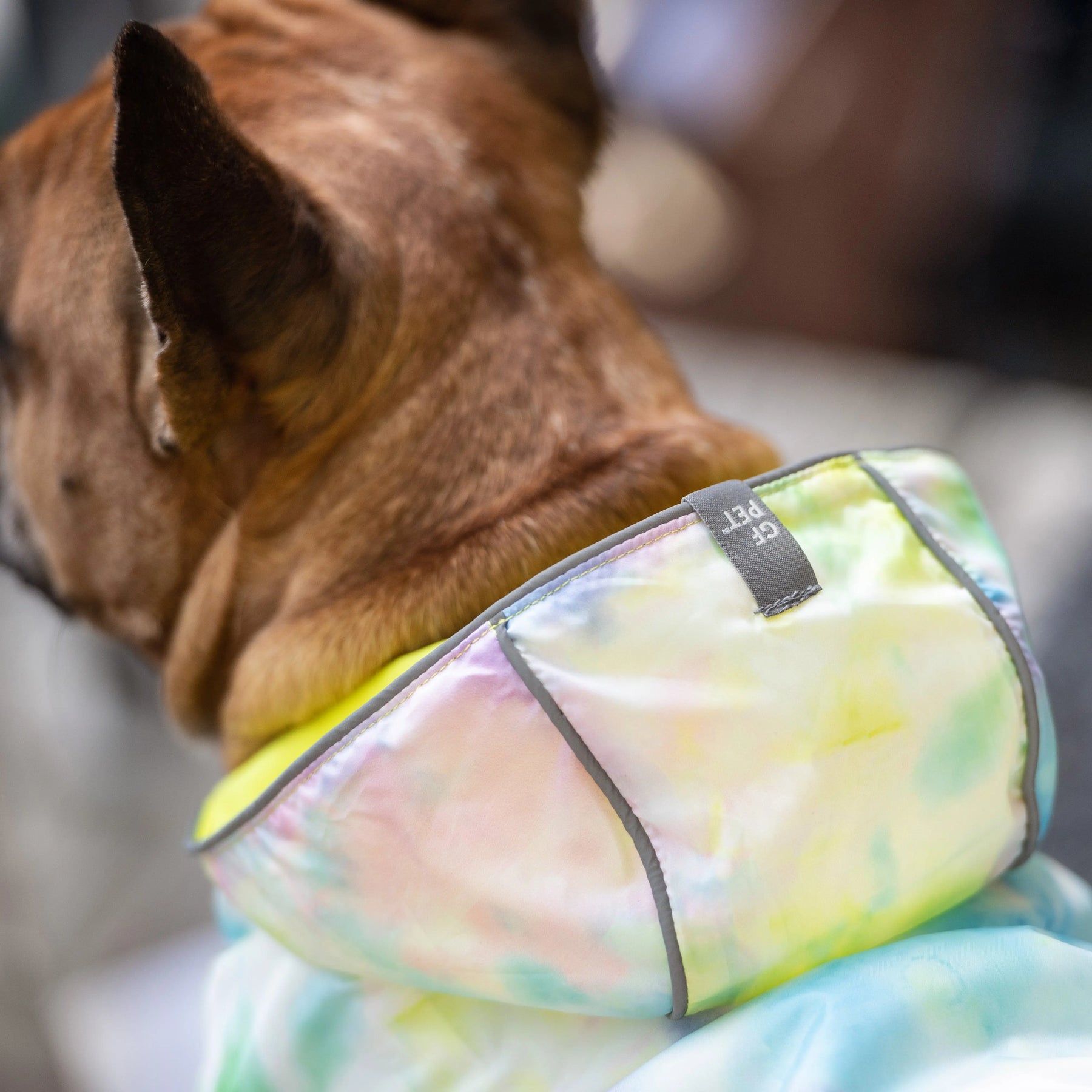 Reversible Raincoat - Neon Yellow and Tie-Dye GF PET