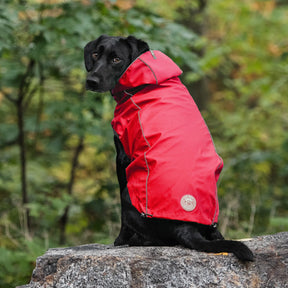 Reversible Raincoat - Red GF PET