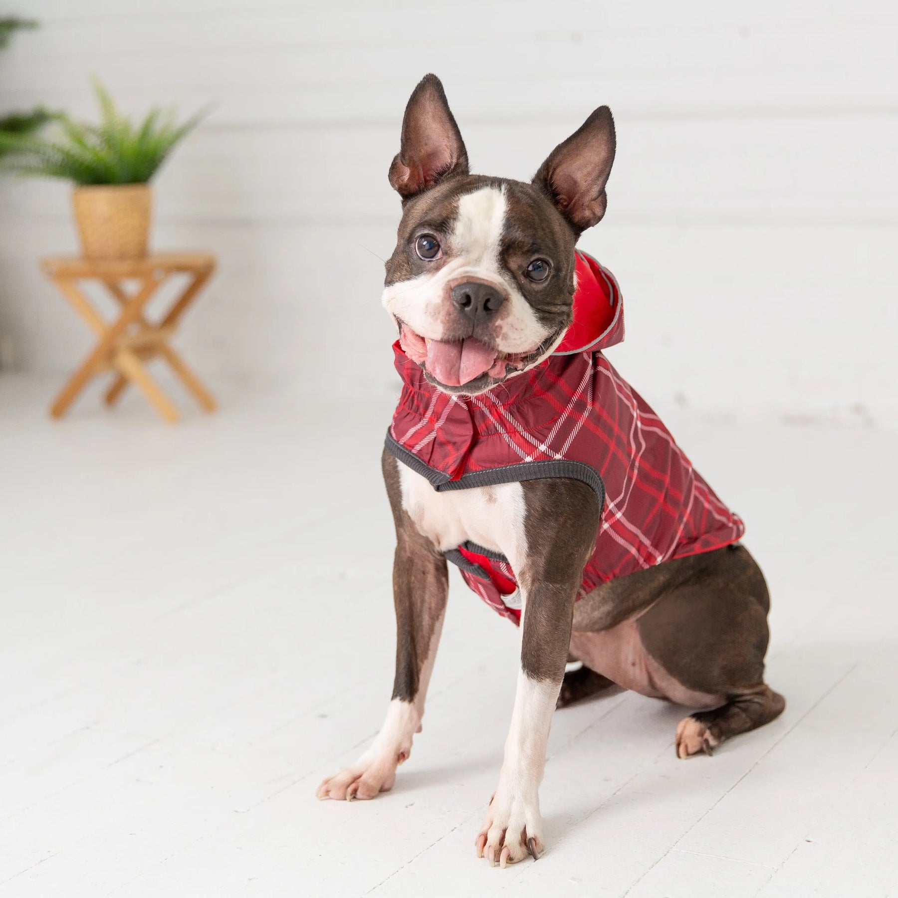 Reversible Raincoat - Red GF PET