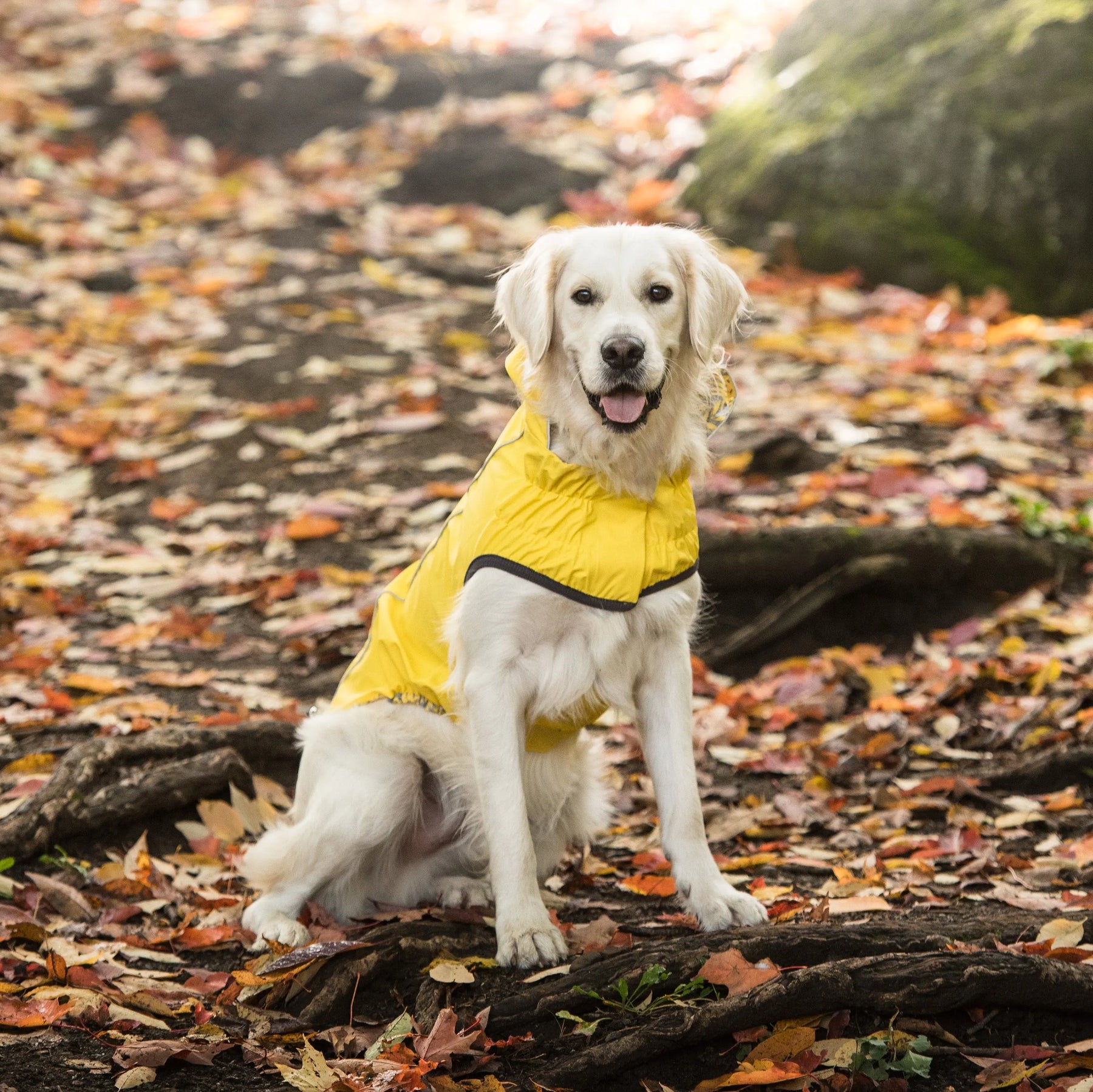 Reversible Raincoat - Yellow GF PET