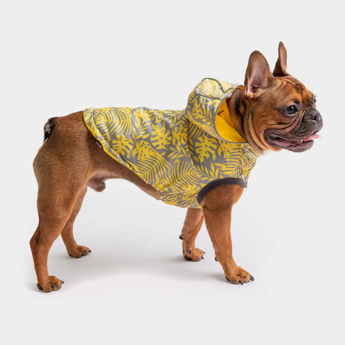 Dog Raincoat with Hood — Reversible Yellow GF Pet®
