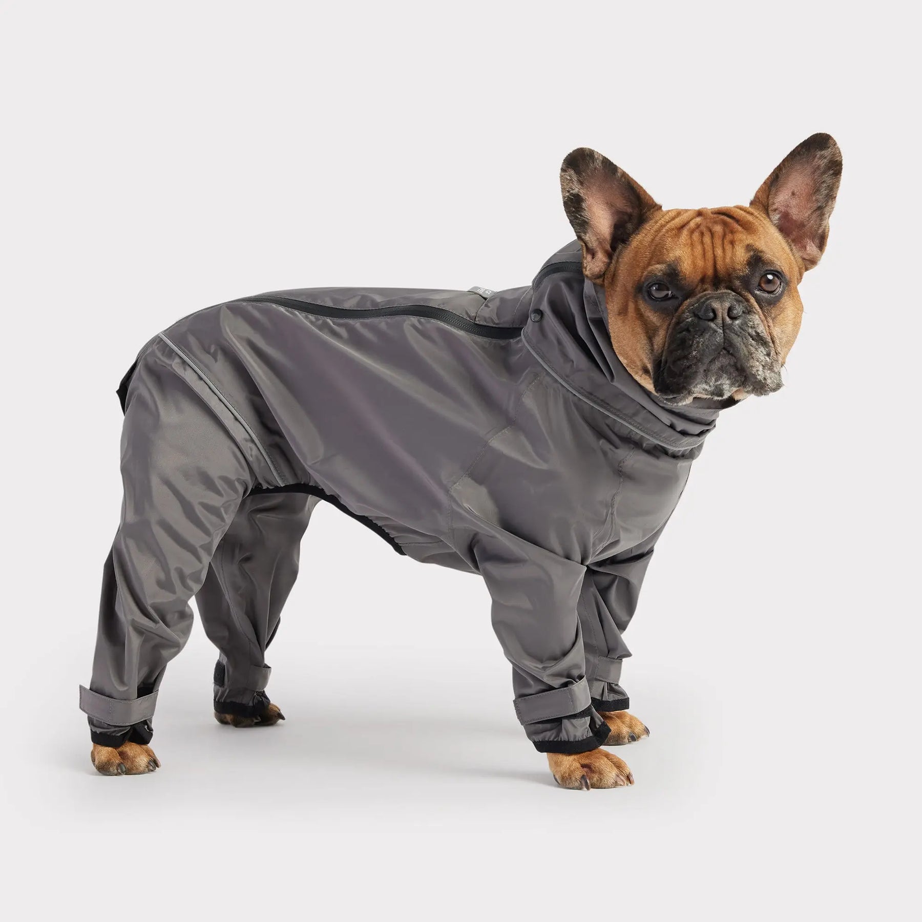 Splash Suit | Charcoal GF PET Apparel GF Pet Official Online Store