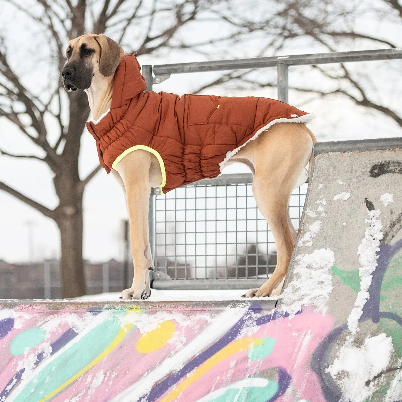 The Puff Dog Parka Winter Dog Coat | Hazel | GF Pet Online Store