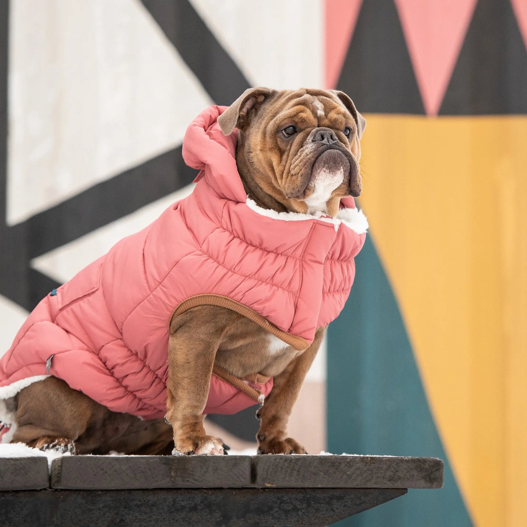 Super Puff Dog Parka Winter Dog Coat - Pink
