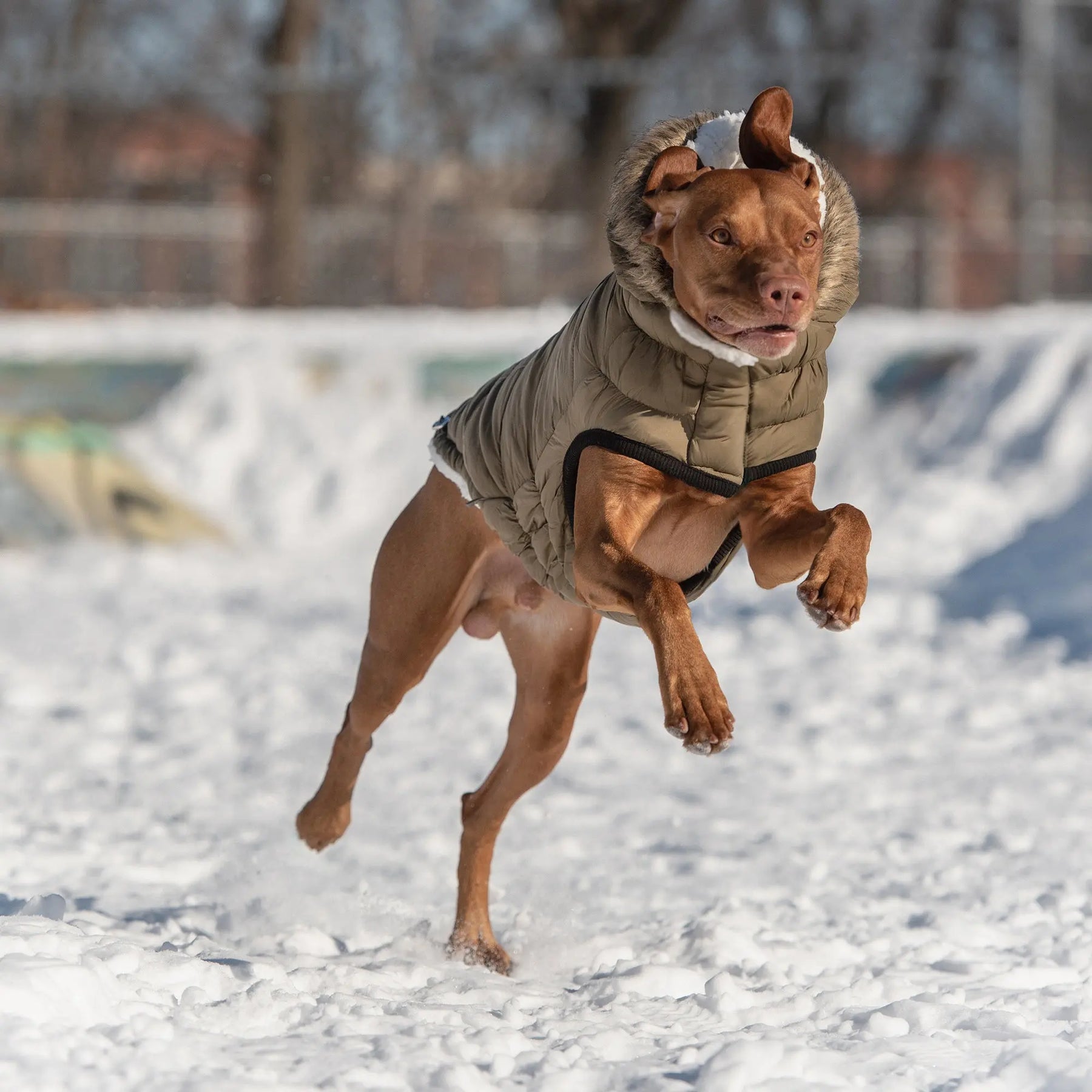 Urban Parka - Khaki GF PET