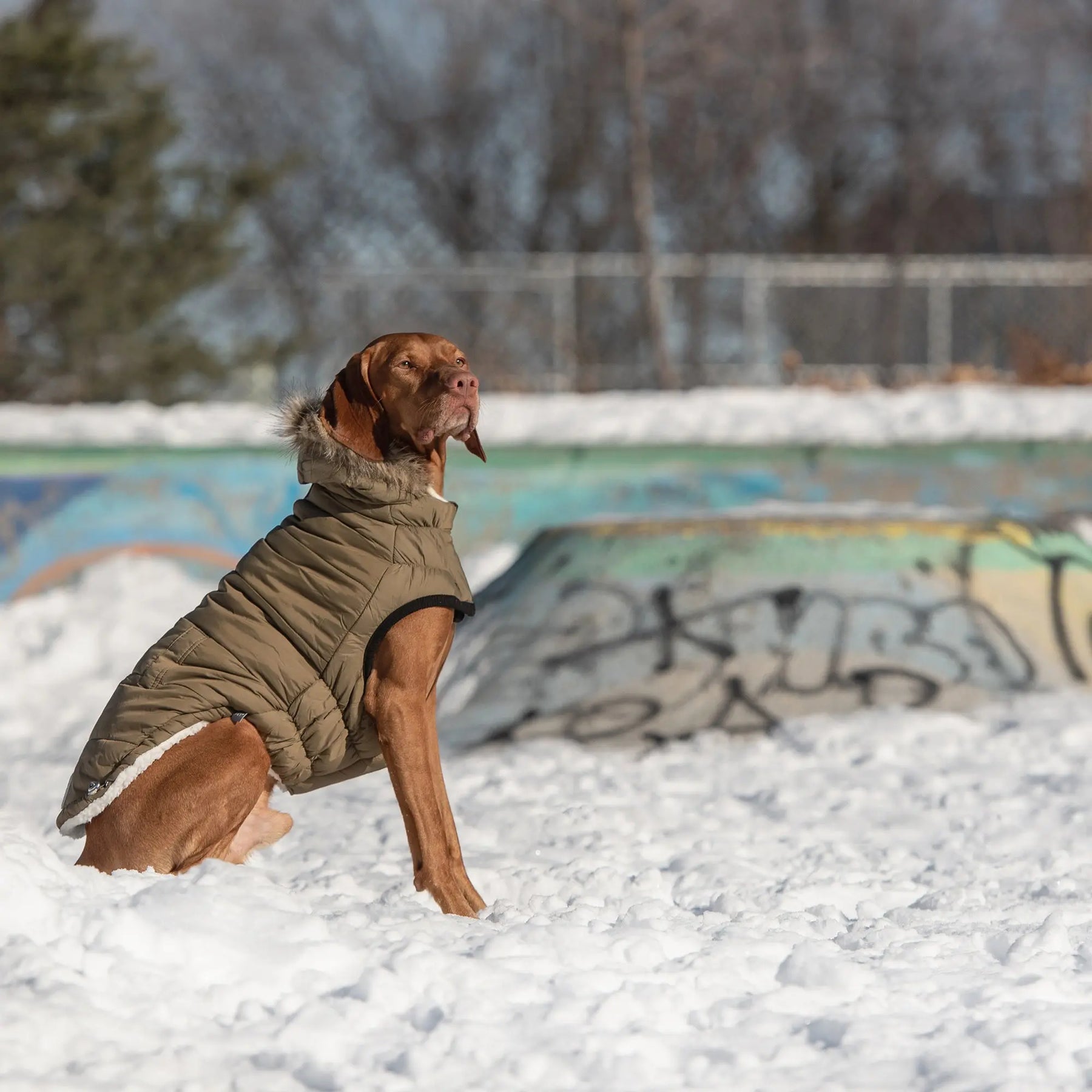 Urban Parka - Khaki GF PET