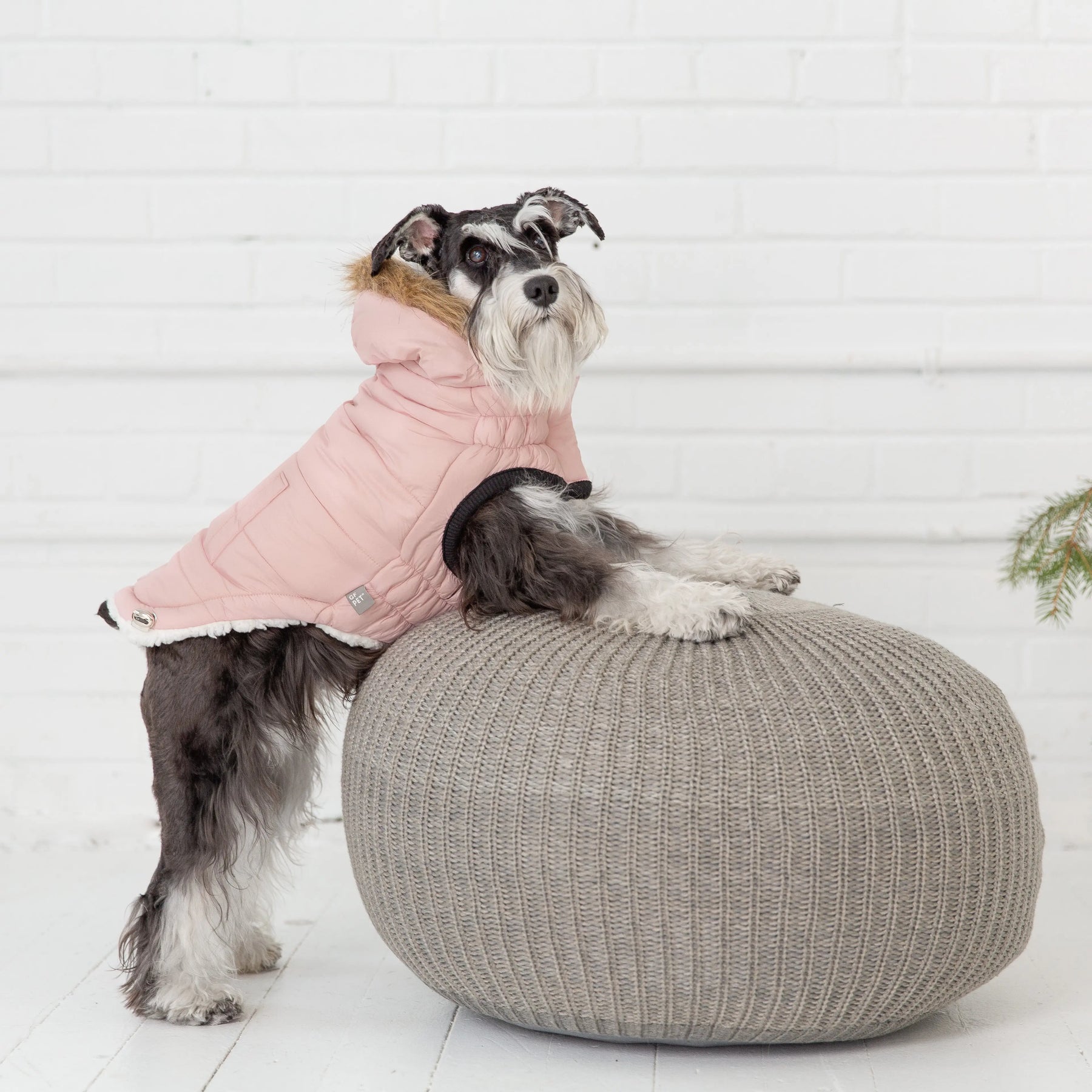 Urban Parka - Pink GF PET