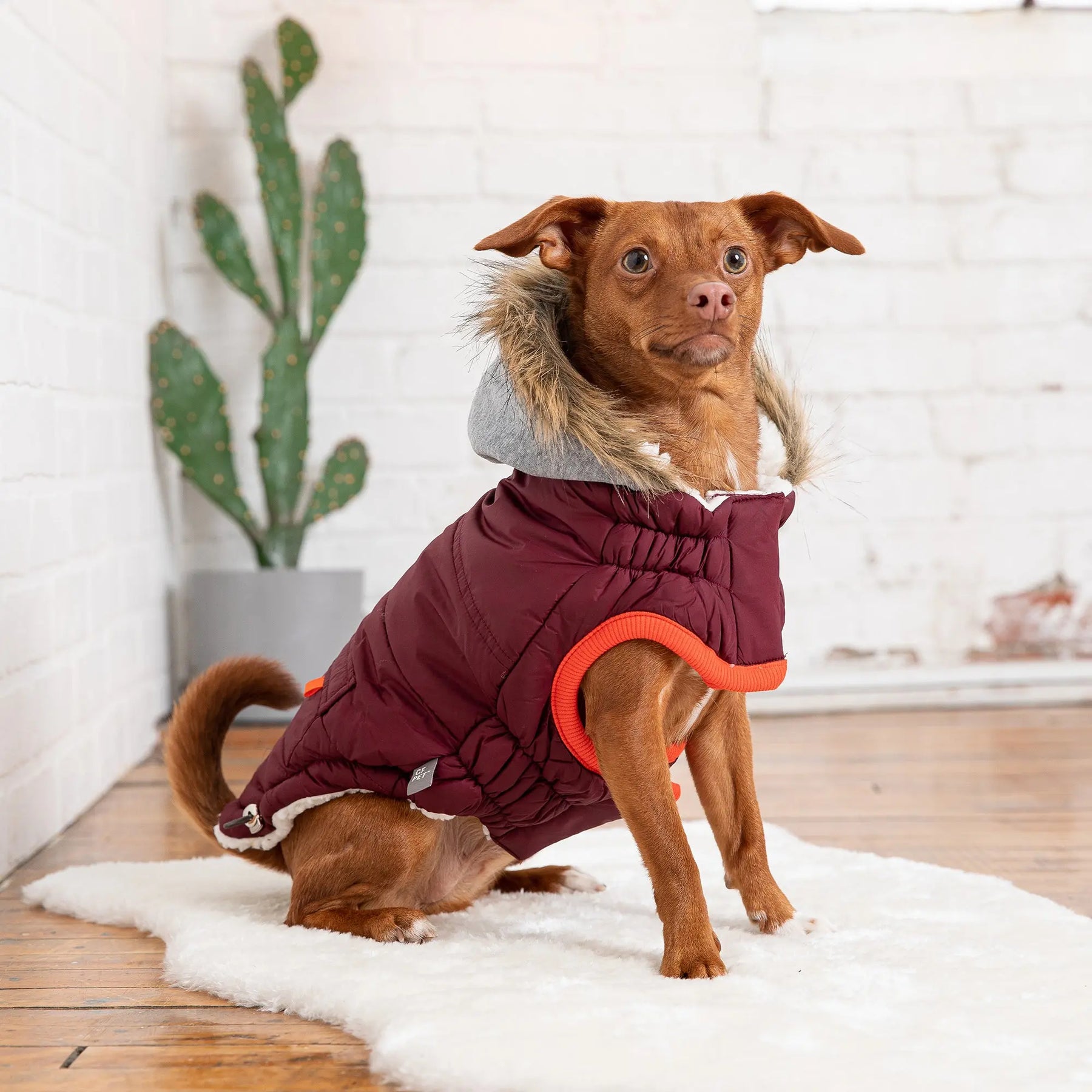 Winter Sailor Parka | Burgundy GF PET