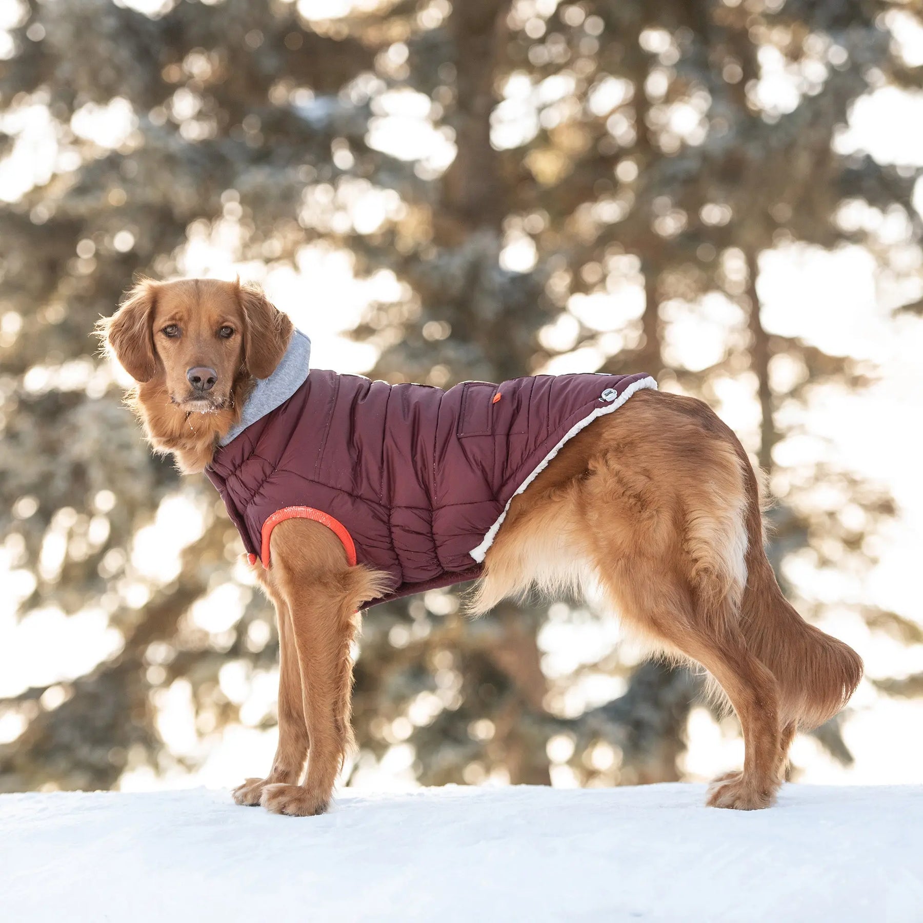 Winter Sailor Parka | Burgundy GF PET