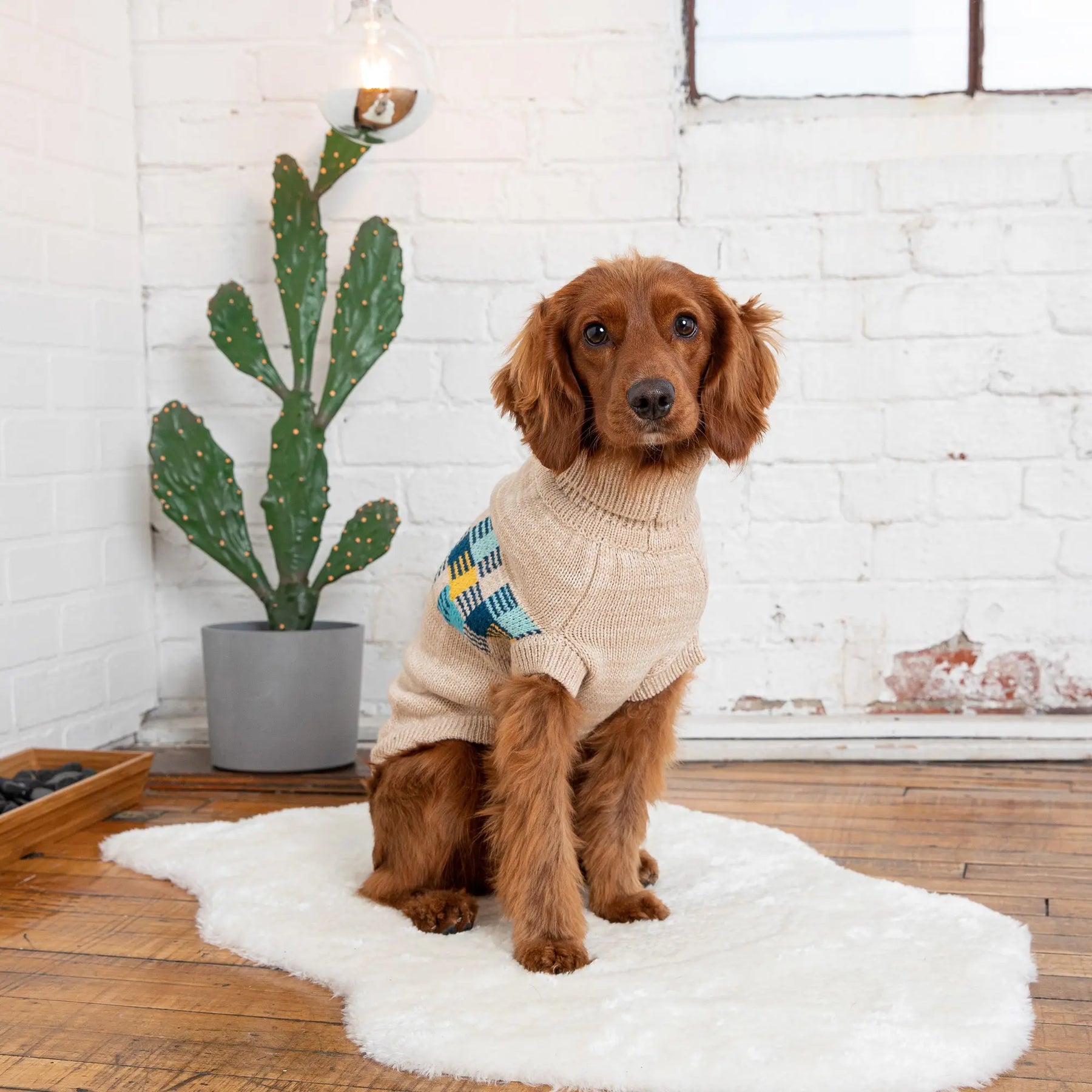 Winter Sailor Sweater | Oatmeal Mix GF PET