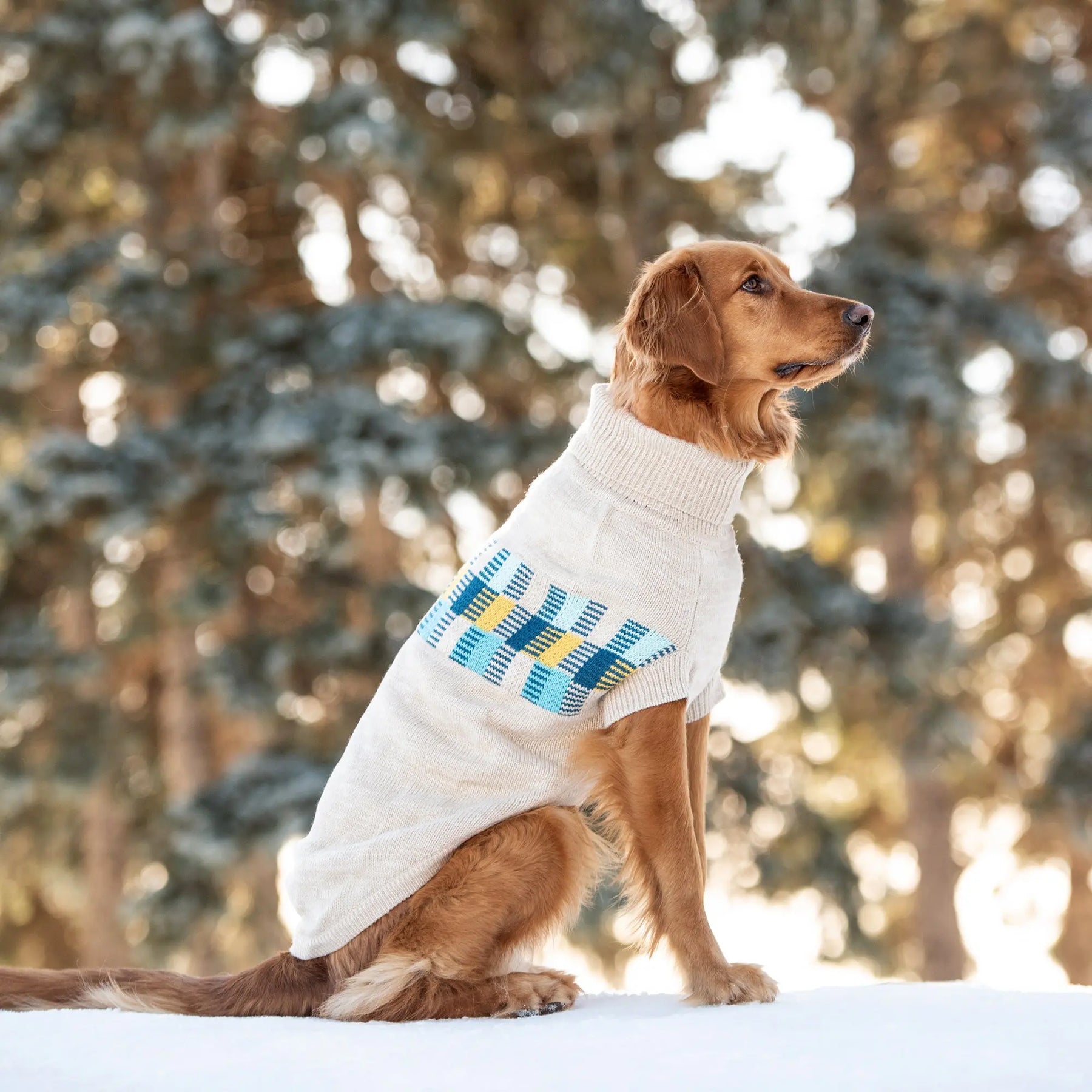 Winter Sailor Sweater | Oatmeal Mix GF PET