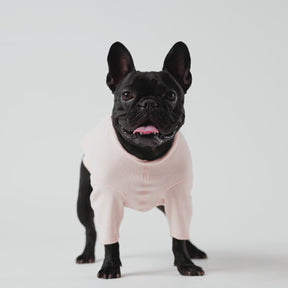 Gondola Base Layer for Dogs | Pink