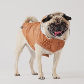 Insulated Dog Raincoat | Hazel