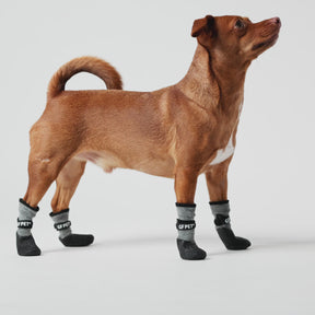 All Terrain Dog Boots | Charcoal Grey