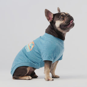 Tee-shirt graphique pour chien | Bleu chiné