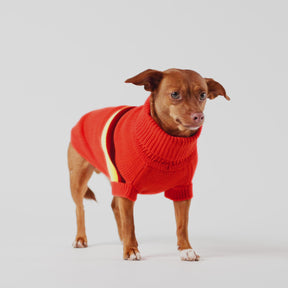 Retro Dog Sweater | Orange