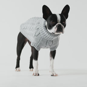 Chalet Dog Sweater | Grey Mix