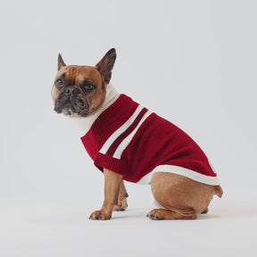 Trekking Dog Sweater | Red